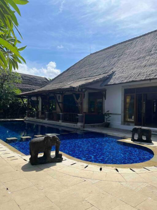 Bali Berg Villa, Sanur エクステリア 写真